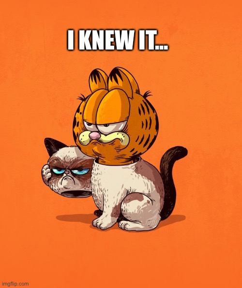 Garfield is the grumpy cat | I KNEW IT... | image tagged in garfield is the grumpy cat | made w/ Imgflip meme maker
