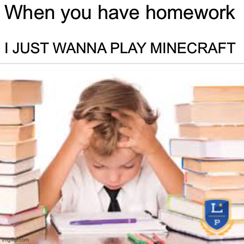 homework ruins my life | When you have homework; I JUST WANNA PLAY MINECRAFT | image tagged in minecraft | made w/ Imgflip meme maker