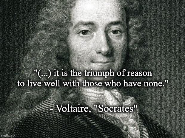 Triumph of reason | "(...) it is the triumph of reason to live well with those who have none."; - Voltaire, "Socrates" | image tagged in literature | made w/ Imgflip meme maker