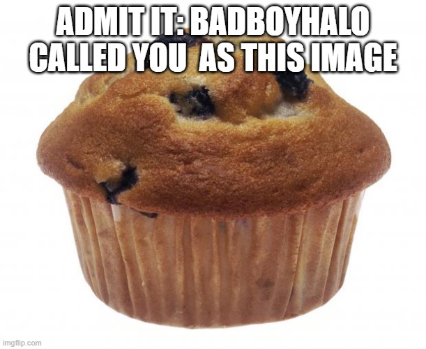 Popular Opinion Muffin | ADMIT IT: BADBOYHALO CALLED YOU  AS THIS IMAGE | image tagged in popular opinion muffin | made w/ Imgflip meme maker