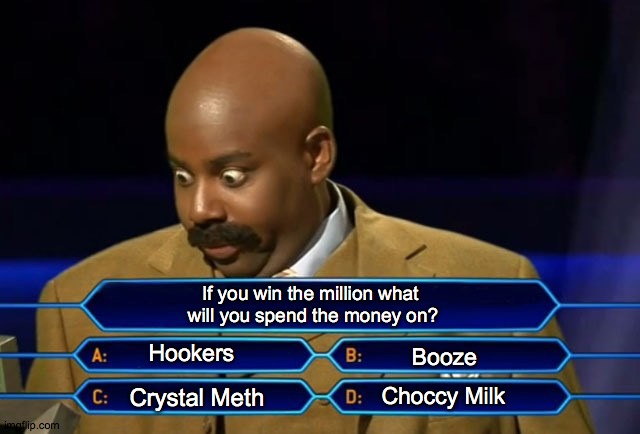 Who wants to be a millionaire? | If you win the million what 
will you spend the money on? Hookers; Booze; Choccy Milk; Crystal Meth | image tagged in who wants to be a millionaire | made w/ Imgflip meme maker