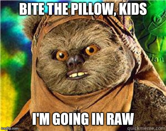 rape ewok | BITE THE PILLOW, KIDS; I'M GOING IN RAW | image tagged in rape ewok | made w/ Imgflip meme maker