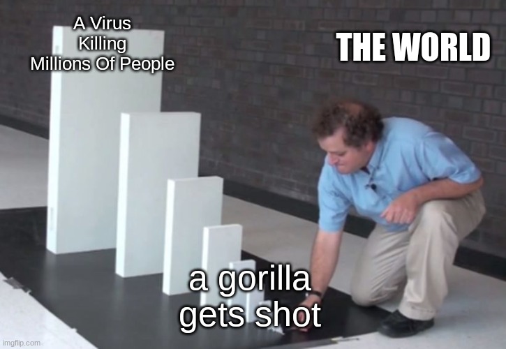 liKE WHY |  THE WORLD; A Virus Killing Millions Of People; a gorilla gets shot | image tagged in domino effect | made w/ Imgflip meme maker