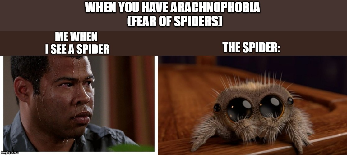 P h o b i a | WHEN YOU HAVE ARACHNOPHOBIA
   (FEAR OF SPIDERS) | image tagged in funny | made w/ Imgflip meme maker