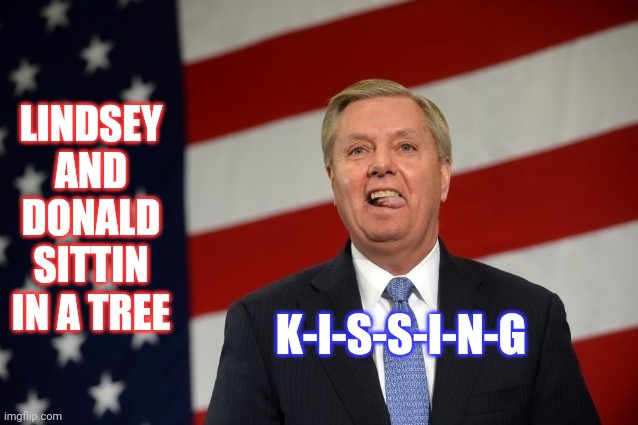 What's Up With That? | LINDSEY AND DONALD SITTIN IN A TREE; K-I-S-S-I-N-G | image tagged in lindsey graham tongue,memes,donald trump,lindsey graham,lovers,so wrong | made w/ Imgflip meme maker