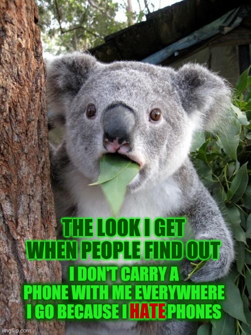 I Use My Phone As A Computer Not A Phone | THE LOOK I GET WHEN PEOPLE FIND OUT; I DON'T CARRY A PHONE WITH ME EVERYWHERE I GO BECAUSE I HATE PHONES; HATE | image tagged in memes,surprised koala,cell phones,phones,smartphones,haters gonna hate | made w/ Imgflip meme maker