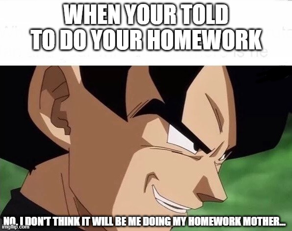 Goodbye homework | WHEN YOUR TOLD TO DO YOUR HOMEWORK; NO. I DON'T THINK IT WILL BE ME DOING MY HOMEWORK MOTHER... | image tagged in memes | made w/ Imgflip meme maker