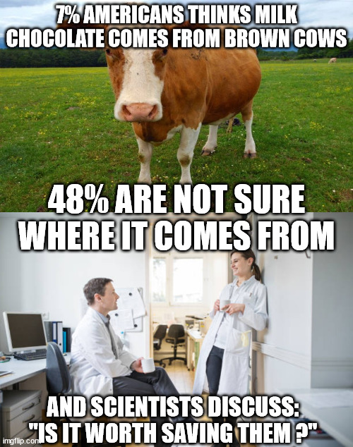 covid, mankind, and scientists | 7% AMERICANS THINKS MILK CHOCOLATE COMES FROM BROWN COWS; 48% ARE NOT SURE WHERE IT COMES FROM; AND SCIENTISTS DISCUSS: "IS IT WORTH SAVING THEM ?" | image tagged in funny,fun,covid19,science,vaccines,covidiots | made w/ Imgflip meme maker