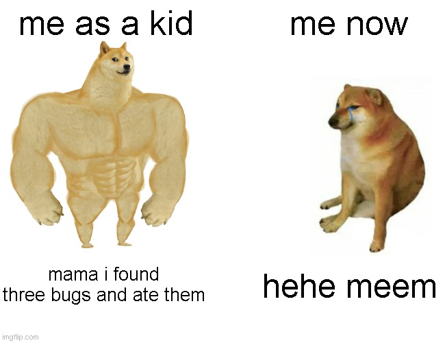 hehe meem | me as a kid; me now; mama i found three bugs and ate them; hehe meem | image tagged in memes,buff doge vs cheems | made w/ Imgflip meme maker