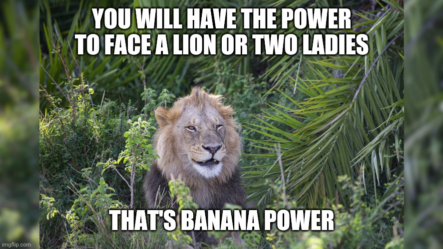 Banana Power | YOU WILL HAVE THE POWER TO FACE A LION OR TWO LADIES; THAT'S BANANA POWER | image tagged in banana,lion | made w/ Imgflip meme maker