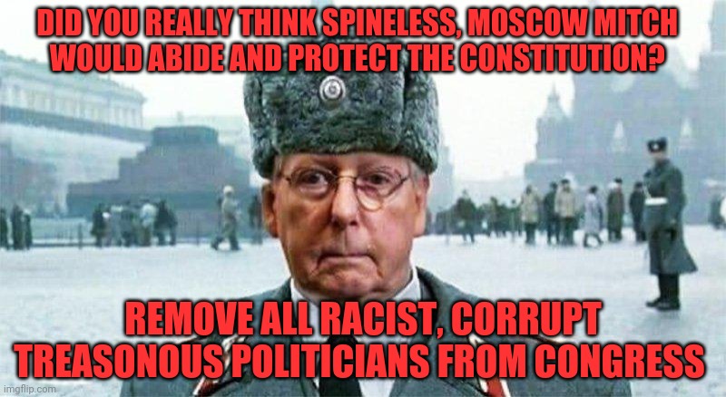 Moscow Mitch | DID YOU REALLY THINK SPINELESS, MOSCOW MITCH         WOULD ABIDE AND PROTECT THE CONSTITUTION? REMOVE ALL RACIST, CORRUPT TREASONOUS POLITICIANS FROM CONGRESS | image tagged in moscow mitch | made w/ Imgflip meme maker