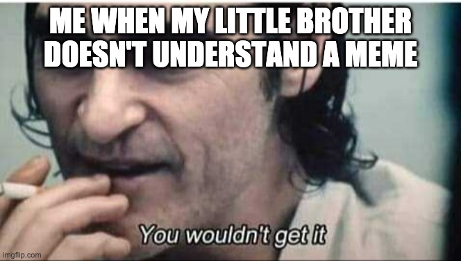 lololololololol | ME WHEN MY LITTLE BROTHER DOESN'T UNDERSTAND A MEME | image tagged in you wouldn't get it | made w/ Imgflip meme maker