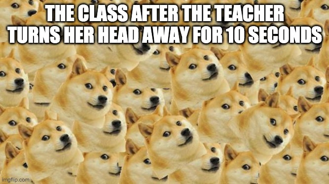 Multi Doge | THE CLASS AFTER THE TEACHER TURNS HER HEAD AWAY FOR 10 SECONDS | image tagged in memes,multi doge | made w/ Imgflip meme maker
