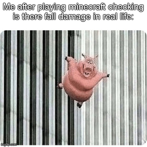 testing is there fall damage | Me after playing minecraft checking is there fall damage in real life: | image tagged in pig jumping off | made w/ Imgflip meme maker