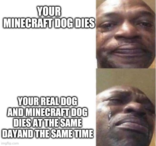 Minecraft dog and your actually dog | YOUR MINECRAFT DOG DIES; YOUR REAL DOG AND MINECRAFT DOG DIES AT THE SAME DAYAND THE SAME TIME | image tagged in black guy crying | made w/ Imgflip meme maker