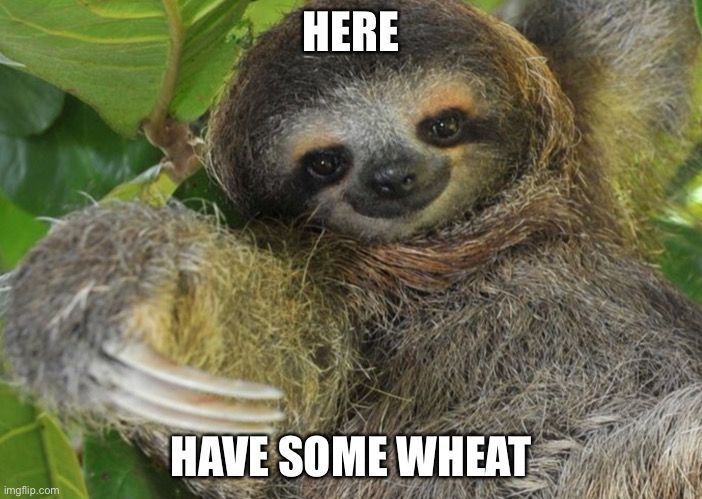 Idk what is this | HERE; HAVE SOME WHEAT | image tagged in memes | made w/ Imgflip meme maker