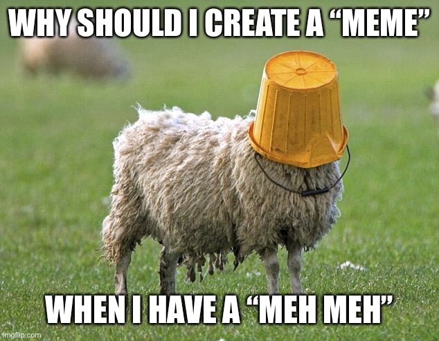 stupid sheep | WHY SHOULD I CREATE A “MEME”; WHEN I HAVE A “MEH MEH” | image tagged in stupid sheep | made w/ Imgflip meme maker
