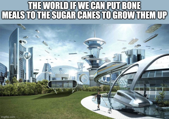 Mojang please | THE WORLD IF WE CAN PUT BONE MEALS TO THE SUGAR CANES TO GROW THEM UP | image tagged in the future world if | made w/ Imgflip meme maker