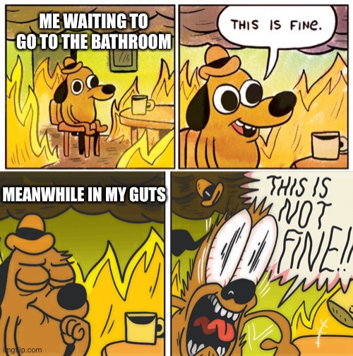 ME WAITING TO GO TO THE BATHROOM; MEANWHILE IN MY GUTS | image tagged in memes,this is fine,this is not fine | made w/ Imgflip meme maker