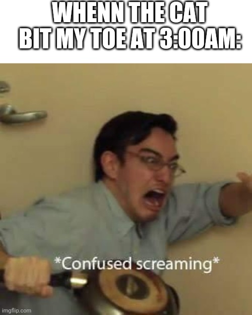 filthy frank confused scream | WHENN THE CAT BIT MY TOE AT 3:00AM: | image tagged in filthy frank confused scream | made w/ Imgflip meme maker