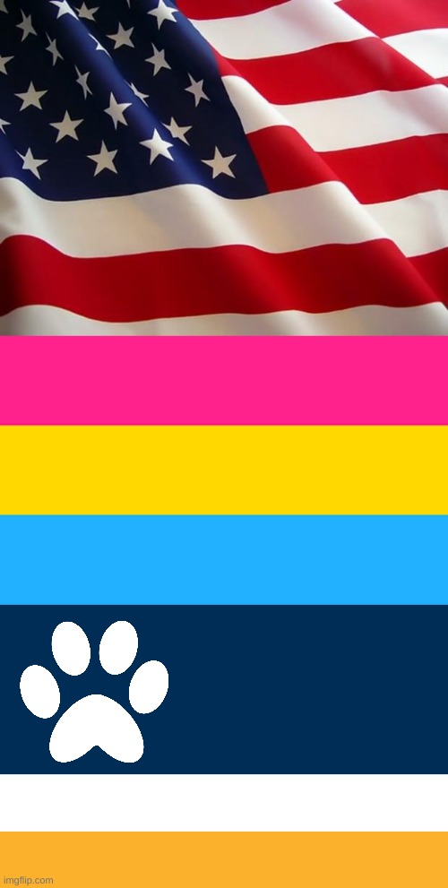 These are the flags I take pride in. These are the flags I fly. And these are the flags I will ALWAYS stand tall and fight for. | image tagged in american flag,pan flag | made w/ Imgflip meme maker