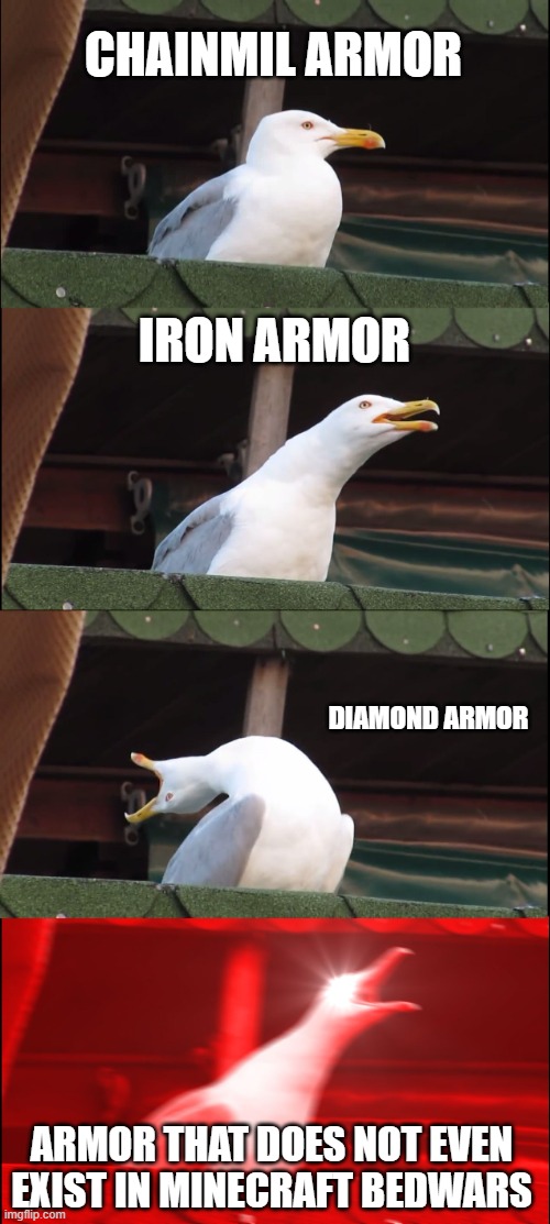 Soo true | CHAINMIL ARMOR; IRON ARMOR; DIAMOND ARMOR; ARMOR THAT DOES NOT EVEN EXIST IN MINECRAFT BEDWARS | image tagged in memes,inhaling seagull | made w/ Imgflip meme maker