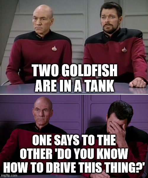 Picard Riker listening to a pun | TWO GOLDFISH ARE IN A TANK; ONE SAYS TO THE OTHER 'DO YOU KNOW HOW TO DRIVE THIS THING?' | image tagged in picard riker listening to a pun | made w/ Imgflip meme maker