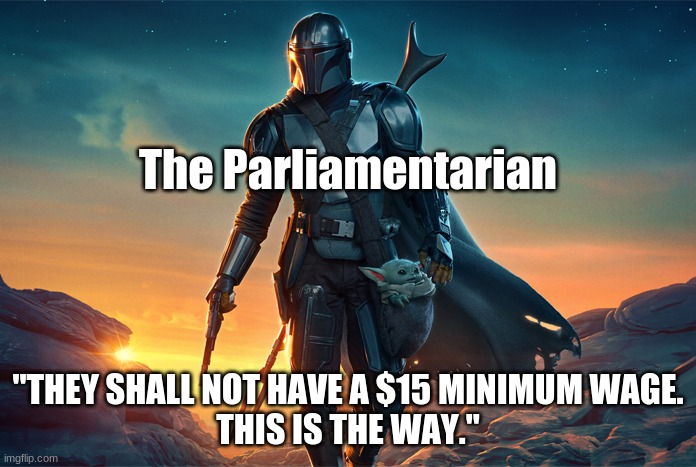 The Parliamentarian | The Parliamentarian; "THEY SHALL NOT HAVE A $15 MINIMUM WAGE.
THIS IS THE WAY." | image tagged in minimum wage | made w/ Imgflip meme maker