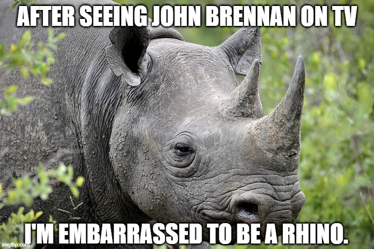 Rhinos are embarrassed by Rinos | AFTER SEEING JOHN BRENNAN ON TV; I'M EMBARRASSED TO BE A RHINO. | image tagged in rino,john brennan,rhino,sounds like communist propaganda | made w/ Imgflip meme maker