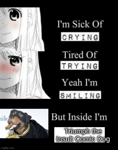 I'm Sick Of Crying | Triumph the Insult Comic Dog | image tagged in i'm sick of crying | made w/ Imgflip meme maker