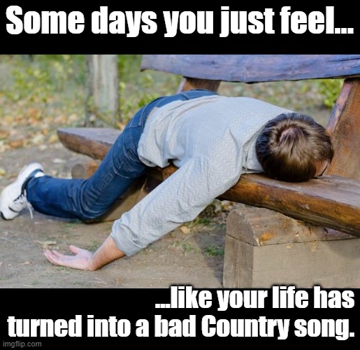 Bad Day | Some days you just feel... ...like your life has turned into a bad Country song. | image tagged in exhausted mandinga_2 | made w/ Imgflip meme maker