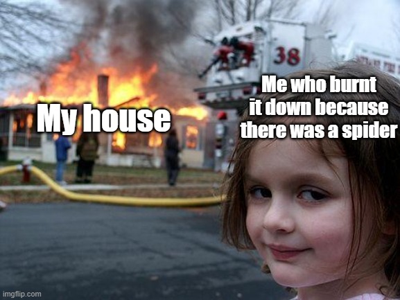 spider | Me who burnt it down because there was a spider; My house | image tagged in memes,disaster girl | made w/ Imgflip meme maker