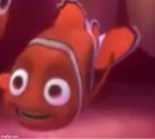 Use this template | image tagged in nemo face | made w/ Imgflip meme maker