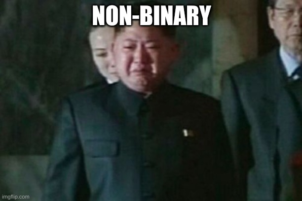 Kim Jong Un Sad Meme | NON-BINARY | image tagged in memes,kim jong un sad | made w/ Imgflip meme maker
