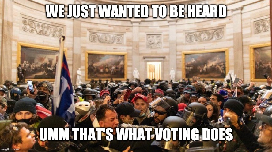 Capitol "Protestors" | WE JUST WANTED TO BE HEARD; UMM THAT'S WHAT VOTING DOES | image tagged in capitol protestors | made w/ Imgflip meme maker