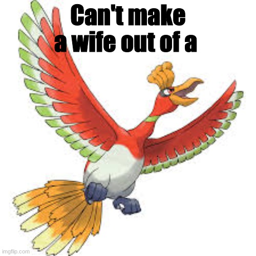 Can't make a wife out of a ho-oh | Can't make a wife out of a | image tagged in pokemon | made w/ Imgflip meme maker
