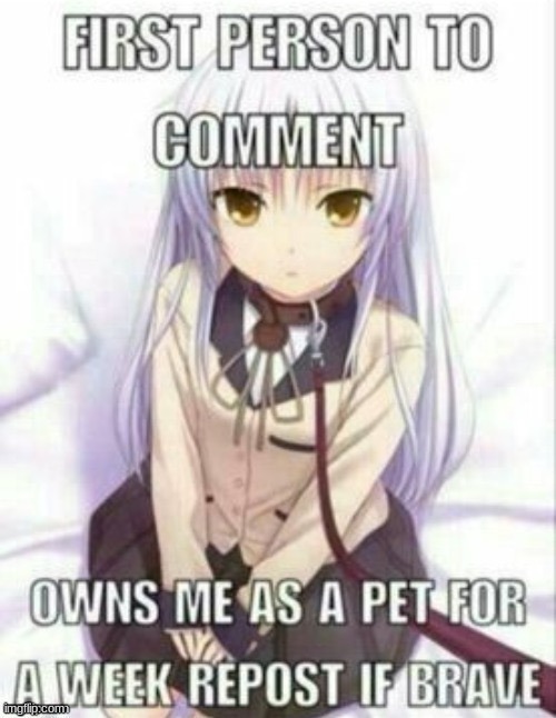I'm never scared | image tagged in furry,repot | made w/ Imgflip meme maker