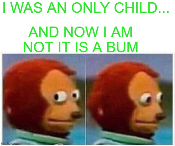 Monkey Puppet | I WAS AN ONLY CHILD... AND NOW I AM NOT IT IS A BUM | image tagged in memes,monkey puppet | made w/ Imgflip meme maker
