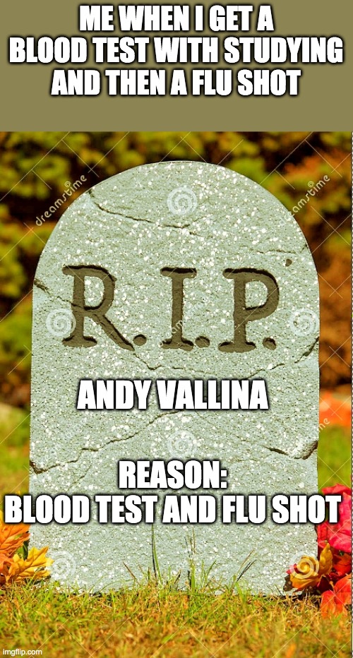 R.I.P. sm | ME WHEN I GET A BLOOD TEST WITH STUDYING AND THEN A FLU SHOT ANDY VALLINA REASON:
BLOOD TEST AND FLU SHOT | image tagged in r i p sm | made w/ Imgflip meme maker