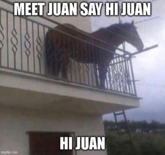 Juan | MEET JUAN SAY HI JUAN; HI JUAN | image tagged in juan | made w/ Imgflip meme maker