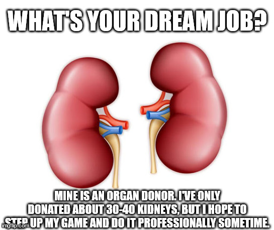Kidneys Pick A Fight | WHAT'S YOUR DREAM JOB? MINE IS AN ORGAN DONOR. I'VE ONLY DONATED ABOUT 30-40 KIDNEYS, BUT I HOPE TO STEP UP MY GAME AND DO IT PROFESSIONALLY SOMETIME. | image tagged in kidneys pick a fight | made w/ Imgflip meme maker