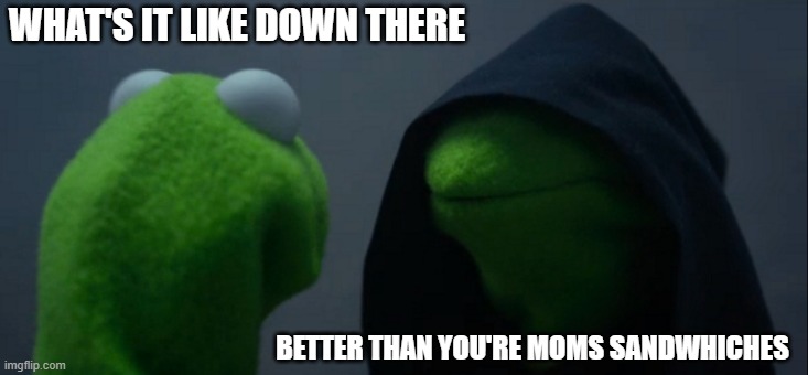 What is it like? | WHAT'S IT LIKE DOWN THERE; BETTER THAN YOU'RE MOMS SANDWHICHES | image tagged in memes,evil kermit | made w/ Imgflip meme maker