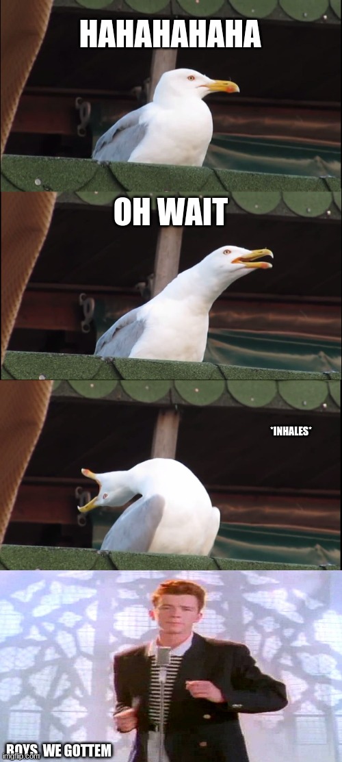 Inhaling Seagull | HAHAHAHAHA; OH WAIT; *INHALES*; BOYS, WE GOTTEM | image tagged in memes,inhaling seagull | made w/ Imgflip meme maker