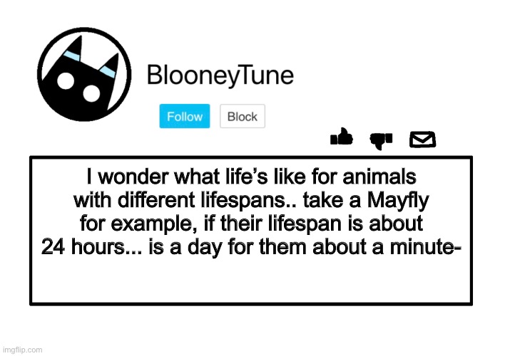 Bloo’s Announcement | I wonder what life’s like for animals with different lifespans.. take a Mayfly for example, if their lifespan is about 24 hours... is a day for them about a minute- | image tagged in bloo s announcement | made w/ Imgflip meme maker