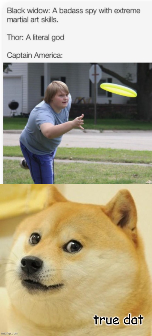 true dat | image tagged in memes,doge | made w/ Imgflip meme maker