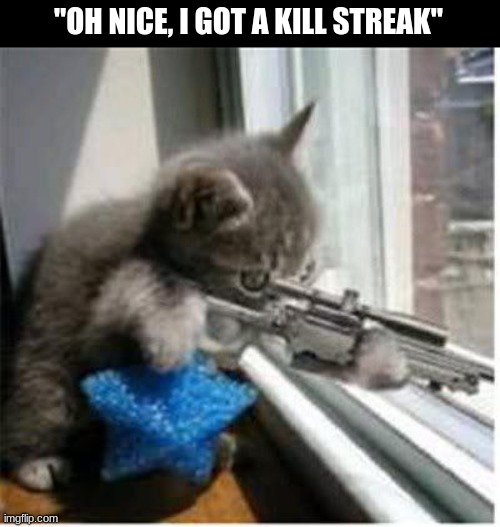 cats with guns | "OH NICE, I GOT A KILL STREAK" | image tagged in cats with guns | made w/ Imgflip meme maker