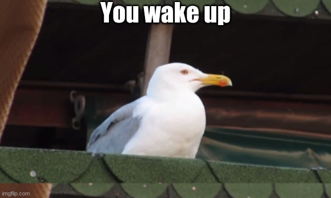 You wake up | made w/ Imgflip meme maker