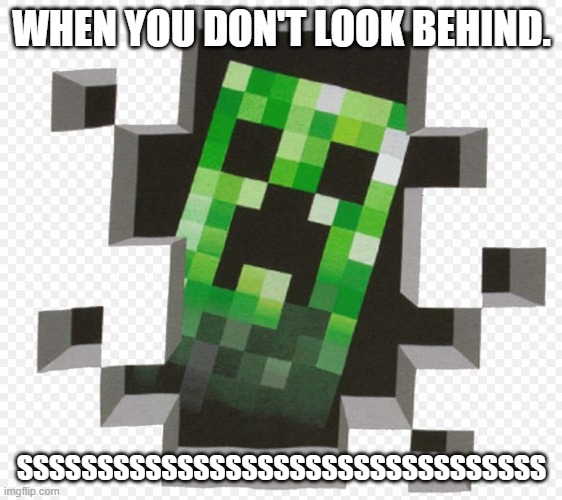 Minecraft Creeper | WHEN YOU DON'T LOOK BEHIND. SSSSSSSSSSSSSSSSSSSSSSSSSSSSSSSSS | image tagged in minecraft creeper | made w/ Imgflip meme maker