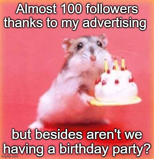 birthday party for 100 followers???? | Almost 100 followers thanks to my advertising; but besides aren't we having a birthday party? | image tagged in birthday hamster | made w/ Imgflip meme maker