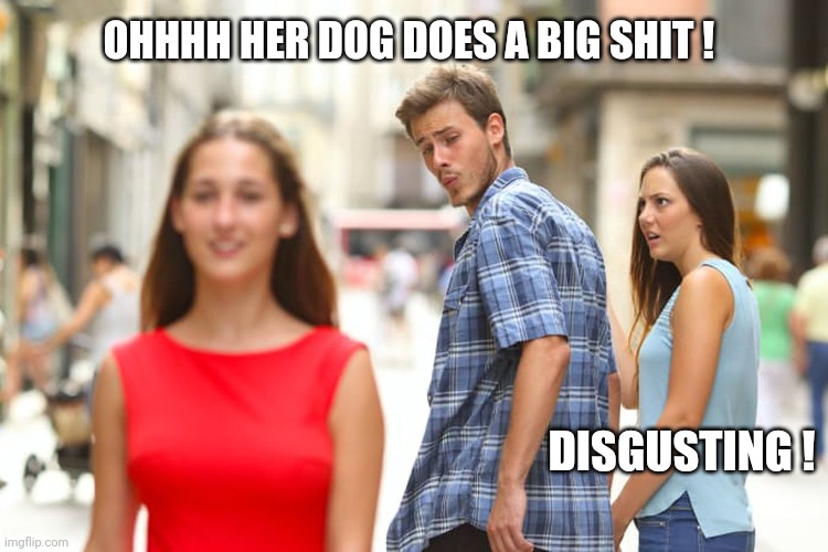 Big shit | OHHHH HER DOG DOES A BIG SHIT ! DISGUSTING ! | image tagged in memes,distracted boyfriend,dog poop,disgusting,funny | made w/ Imgflip meme maker